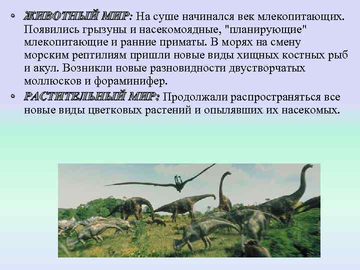  • ЖИВОТНЫЙ МИР: На суше начинался век млекопитающих. ЖИВОТНЫЙ МИР  Появились грызуны
