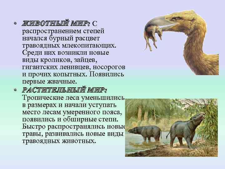  • ЖИВОТНЫЙ МИР: С  ЖИВОТНЫЙ МИР: распространением степей  начался бурный расцвет