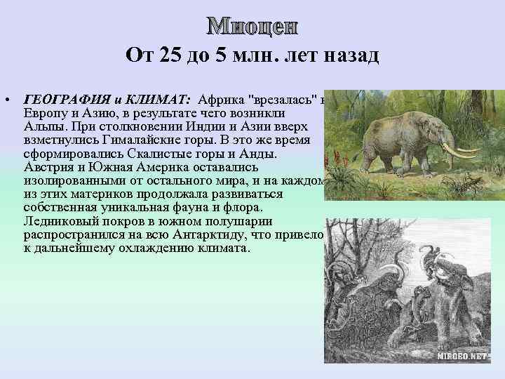      Миоцен    От 25 до 5 млн.