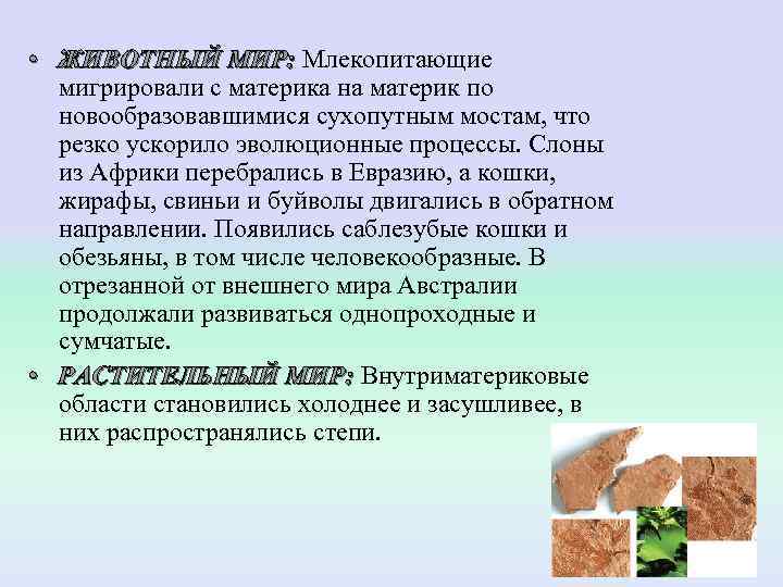  • ЖИВОТНЫЙ МИР: Млекопитающие  ЖИВОТНЫЙ МИР: мигрировали с материка на материк по