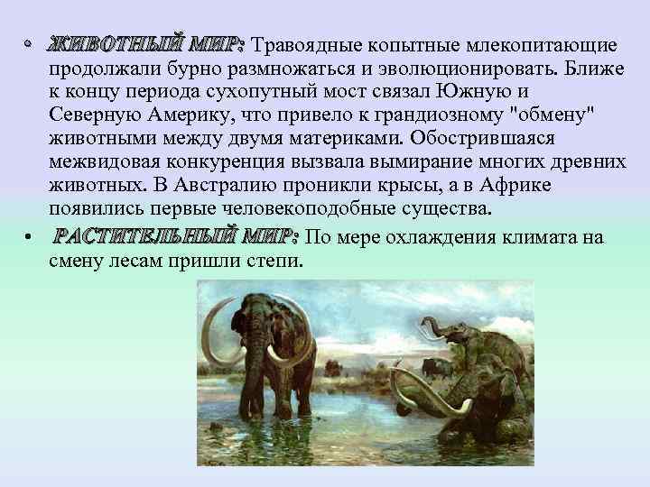  • ЖИВОТНЫЙ МИР: Травоядные копытные млекопитающие  ЖИВОТНЫЙ МИР: продолжали бурно размножаться и