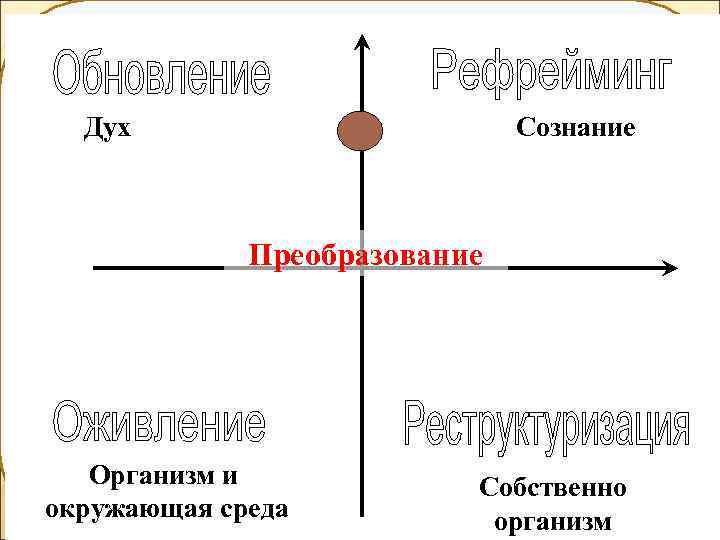  Дух     Сознание   Преобразование  Организм и 
