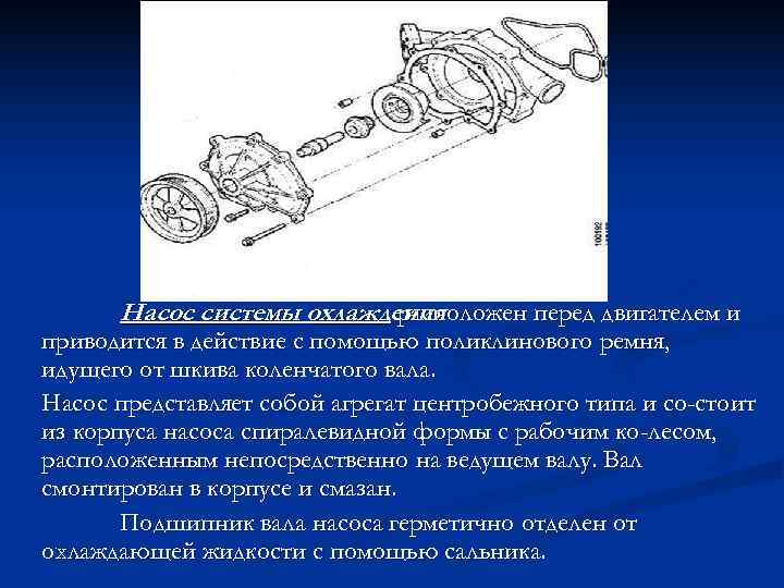  Насос системы охлаждения      расположен перед двигателем и приводится