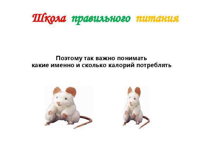 Школа правильного питания   Поэтому так важно понимать какие именно и сколько калорий