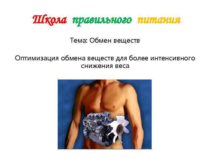   Школа правильного питания    Тема: Обмен веществ Оптимизация обмена веществ