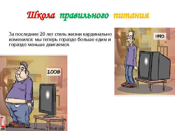   Школа правильного питания За последние 20 лет стиль жизни кардинально изменился: мы