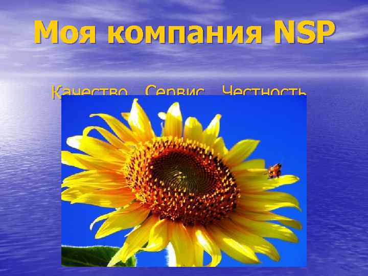 Моя компания NSP Качество  Сервис  Честность 