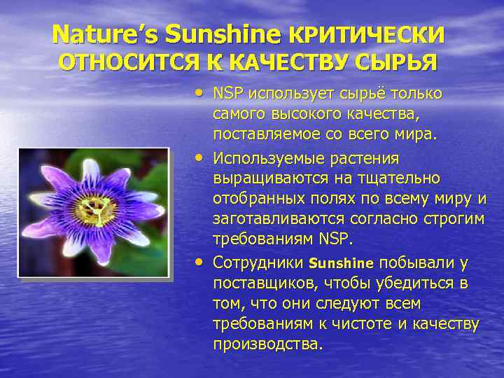 Nature’s Sunshine КРИТИЧЕСКИ ОТНОСИТСЯ К КАЧЕСТВУ СЫРЬЯ  • NSP использует сырьё только 