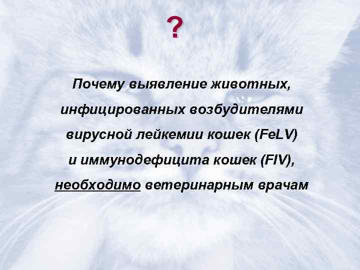    ?  Почему выявление животных, инфицированных возбудителями вирусной лейкемии кошек (Fe.