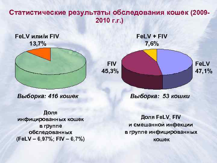 Статистические результаты обследования кошек (2009 -      2010 г. г.