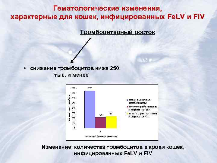    Гематологические изменения, характерные для кошек, инфицированных Fe. LV и FIV 