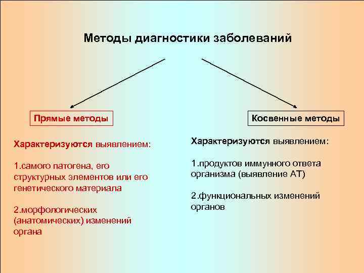     Методы диагностики заболеваний   Прямые методы   