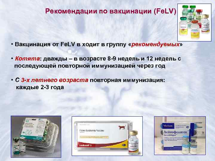    Рекомендации по вакцинации (Fe. LV) • Вакцинация от Fe. LV в