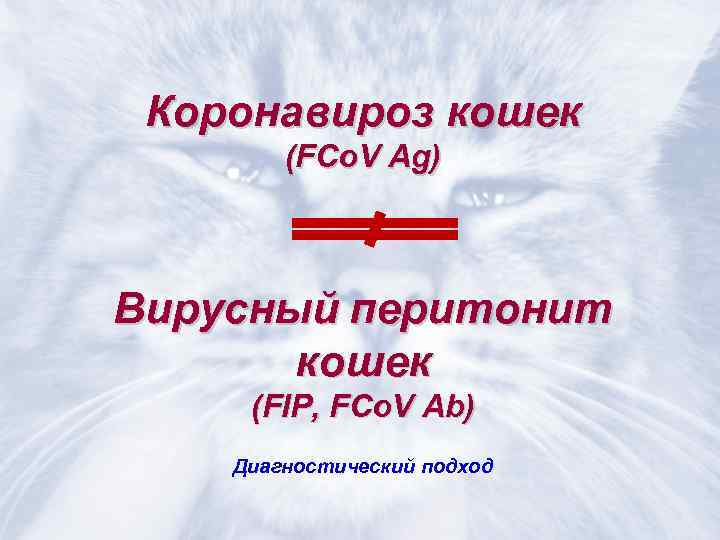  Коронавироз кошек   (FCo. V Ag)  Вирусный перитонит  кошек (FIP,