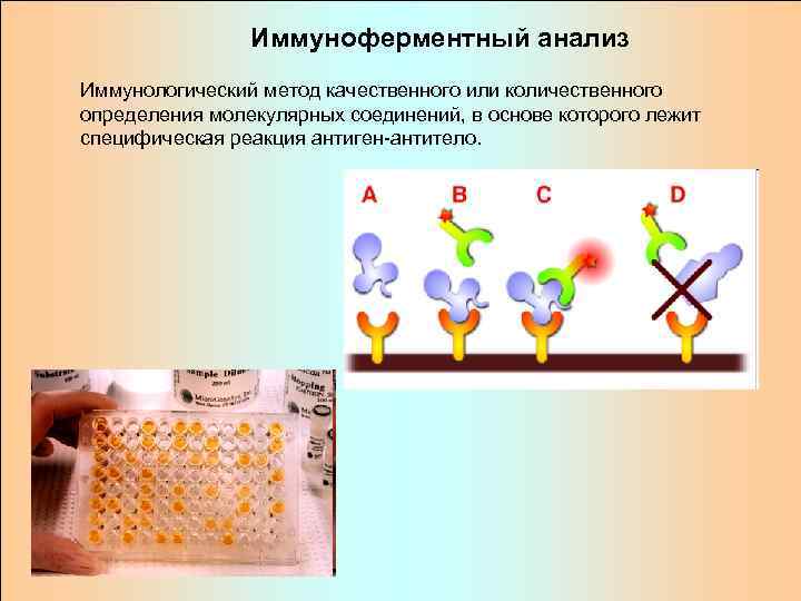     Иммуноферментный анализ Иммунологический метод качественного или количественного определения молекулярных соединений,