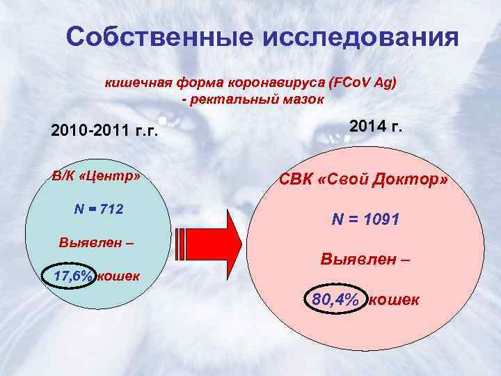  Собственные исследования  кишечная форма коронавируса (FCo. V Ag)    -