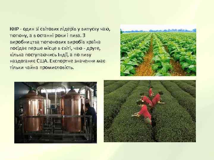 КНР - один зі світових лідерів у випуску чаю,  тютюну, а в останні