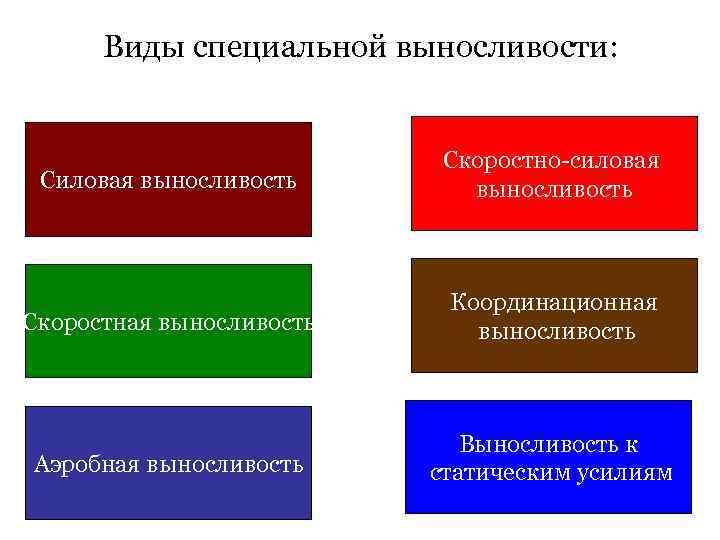 Особый вид. Виды выносливости. Разновидности социальной выносливости. Классификация видов выносливости. Основные виды специальной выносливости.