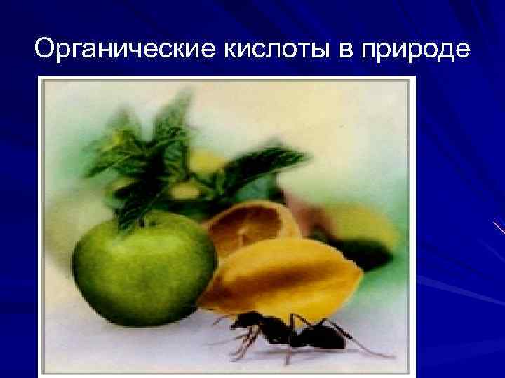 Органические кислоты в природе 