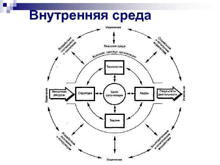Внутренняя среда 