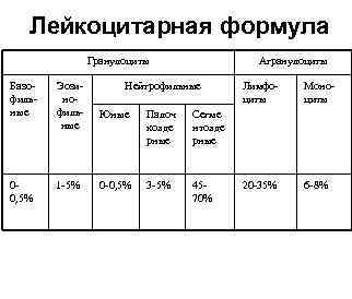Лейкоцитарная формула Гранулоциты Агранулоциты Базо- Эози- Лейкоцитарная формула Гранулоциты Агранулоциты Базо- Эози-