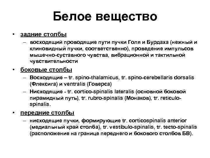    Белое вещество • задние столбы  – восходящий проводящие пути пучки