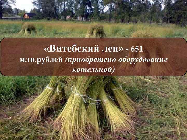   «Витебский лен» - 651 млн. рублей (приобретено оборудование    котельной)