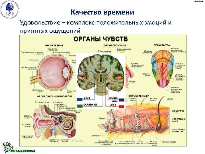      А. Малыгин ©     Качество времени