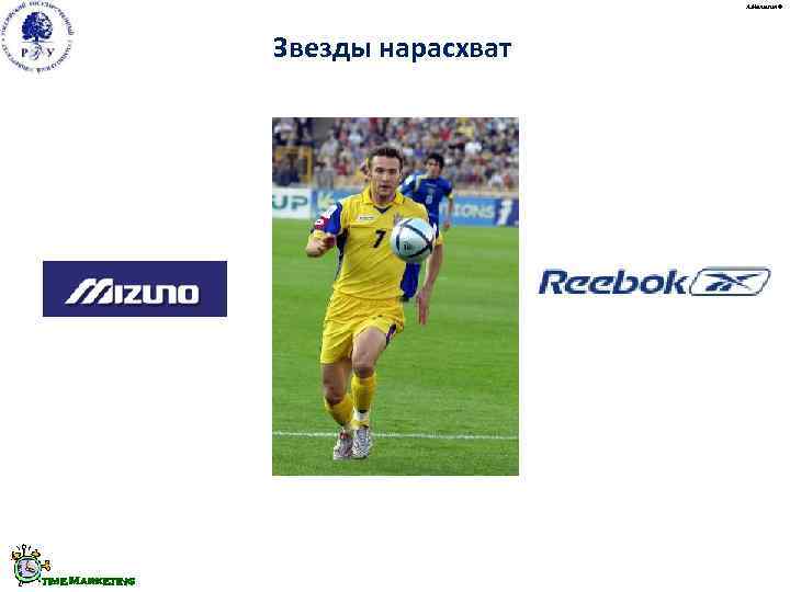       А. Малыгин ©     Звезды