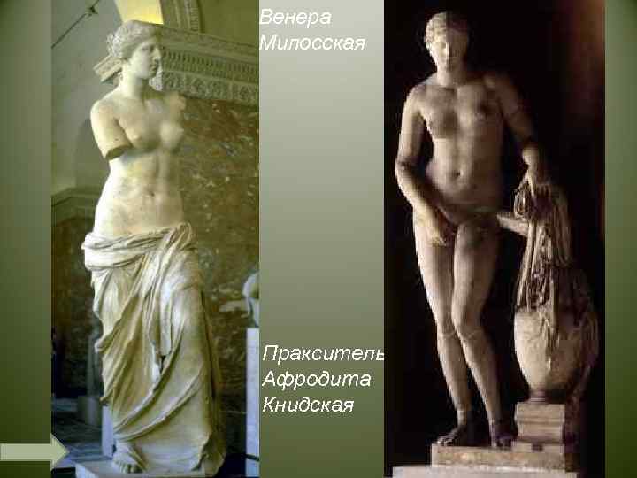 Венера Милосская Пракситель Афродита Книдская 