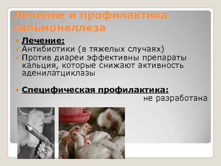 Лечение и профилактика сальмонеллеза  Лечение:  ü Антибиотики (в тяжелых случаях) ü Против