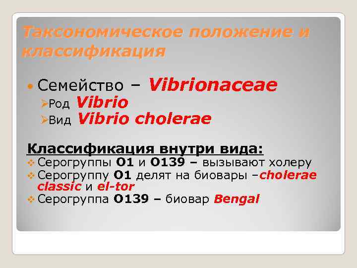 Таксономическое положение и классификация  Семейство – Vibrionaceae ØРод Vibrio ØВид Vibrio  cholerae