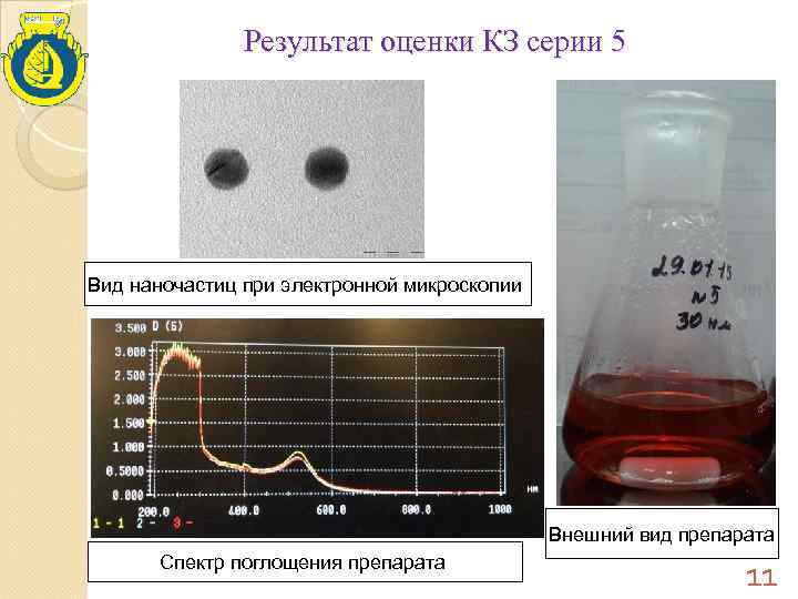     Результат оценки КЗ серии 5 Вид наночастиц при электронной микроскопии