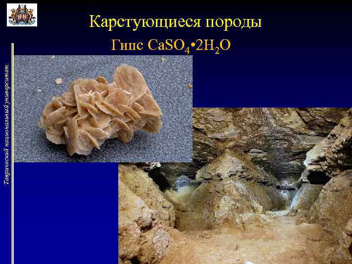 Таврический национальный университет. Карстующиеся породы Гипс Ca. SO 4 • 2 H 2 O