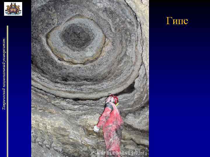 Таврический национальный университет. Гипс 