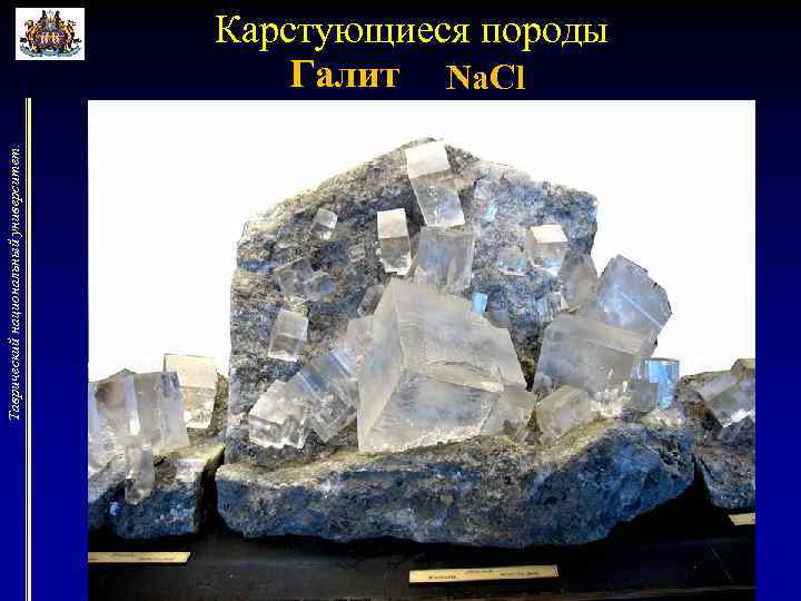 Таврический национальный университет. Карстующиеся породы Галит Na. Cl 