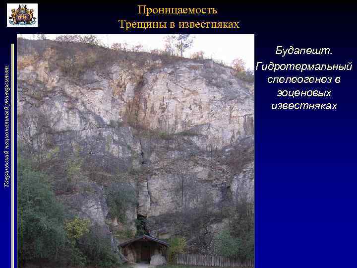 Таврический национальный университет. Проницаемость Трещины в известняках Будапешт. Гидротермальный спелеогенез в эоценовых известняках 