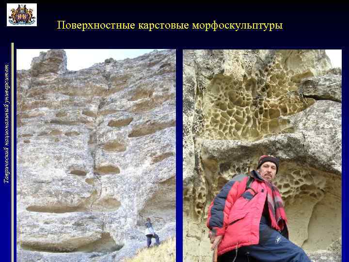 Таврический национальный университет. Поверхностные карстовые морфоскульптуры 