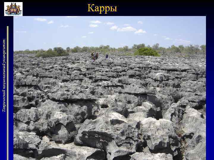 Таврический национальный университет. Карры 