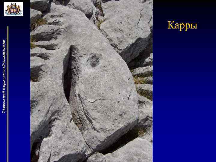 Таврический национальный университет. Карры 