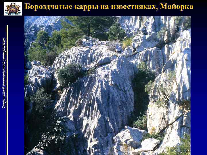 Таврический национальный университет. Бороздчатые карры на известняках, Майорка 