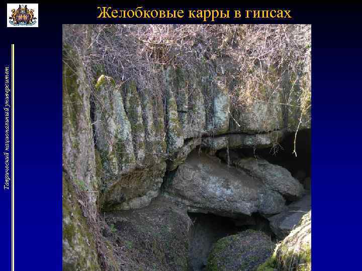 Таврический национальный университет. Желобковые карры в гипсах 
