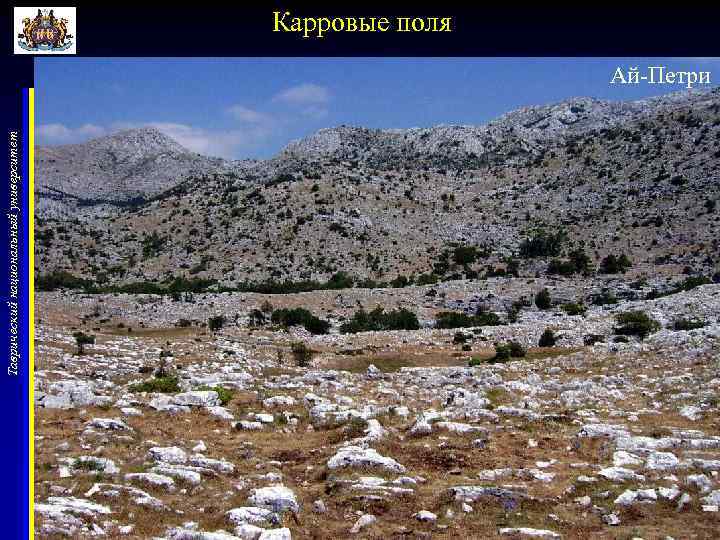 Таврический национальный университет Карровые поля Ай-Петри 