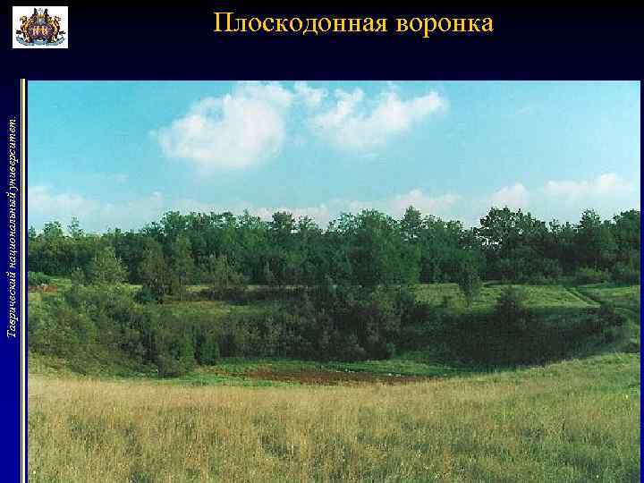 Таврический национальный университет. Плоскодонная воронка 