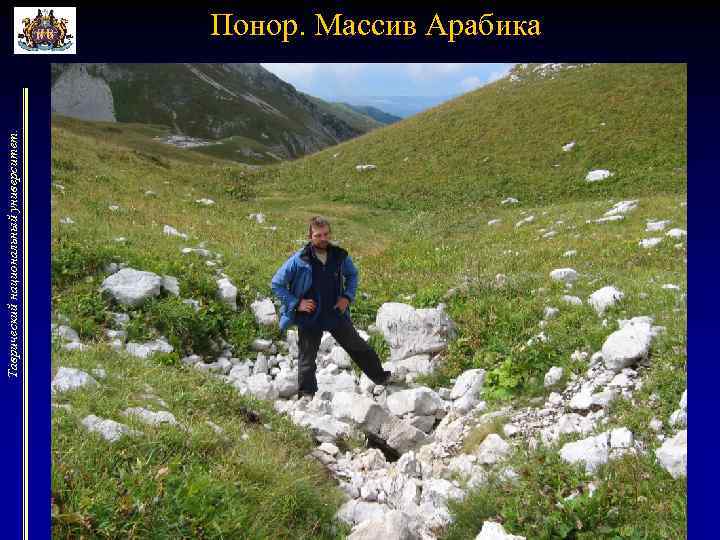 Таврический национальный университет. Понор. Массив Арабика 