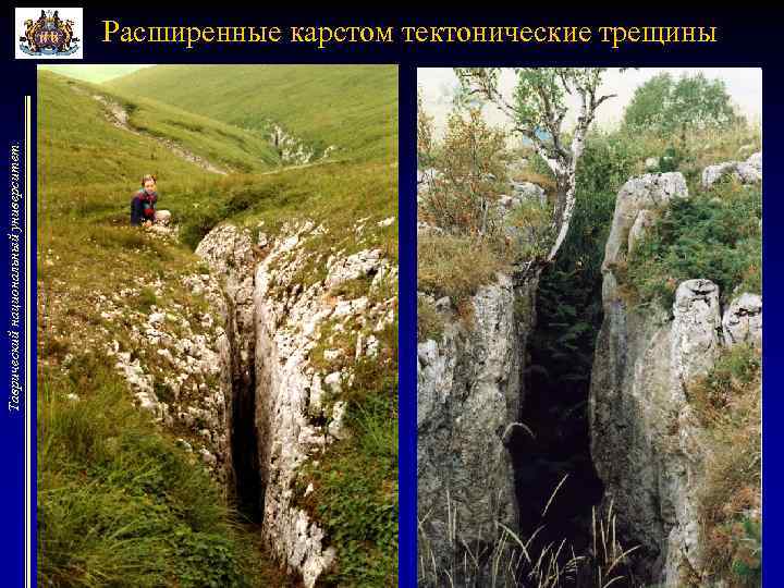 Таврический национальный университет. Расширенные карстом тектонические трещины 