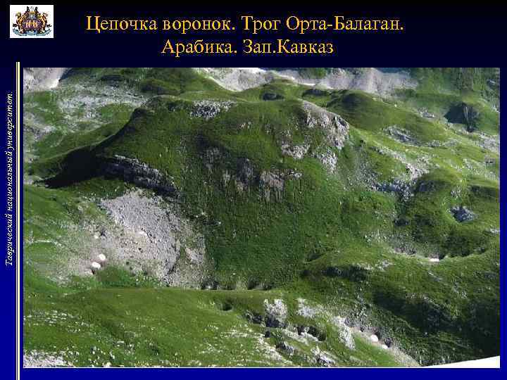 Таврический национальный университет. Цепочка воронок. Трог Орта-Балаган. Арабика. Зап. Кавказ 