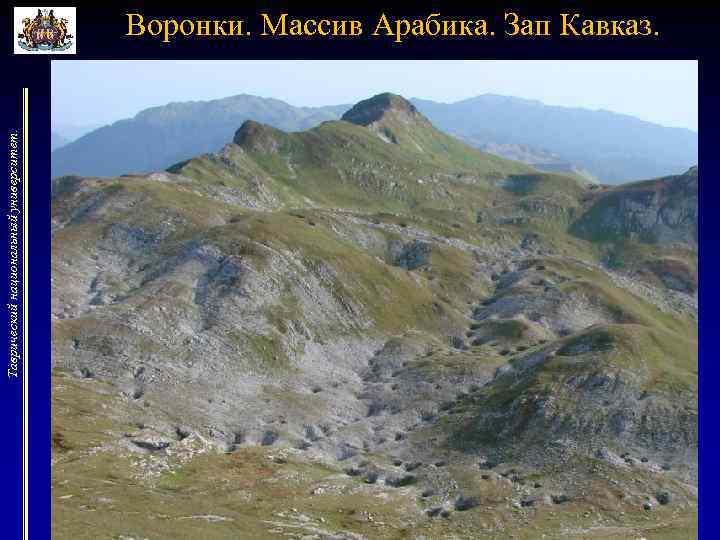 Таврический национальный университет. Воронки. Массив Арабика. Зап Кавказ. 