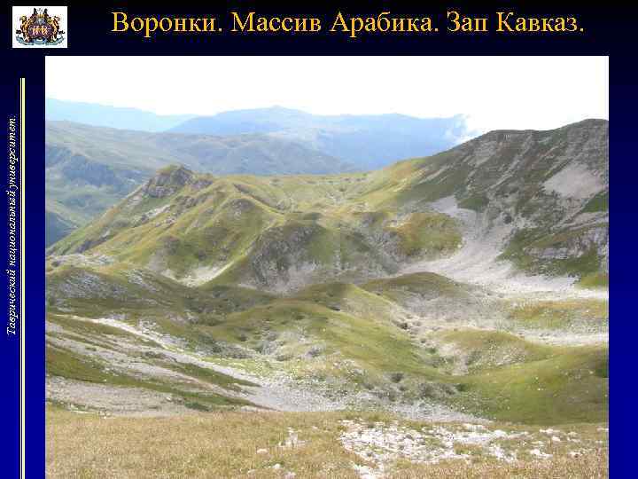 Таврический национальный университет. Воронки. Массив Арабика. Зап Кавказ. 