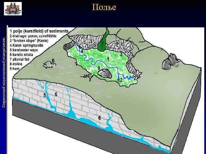 Таврический национальный университет. Полье 